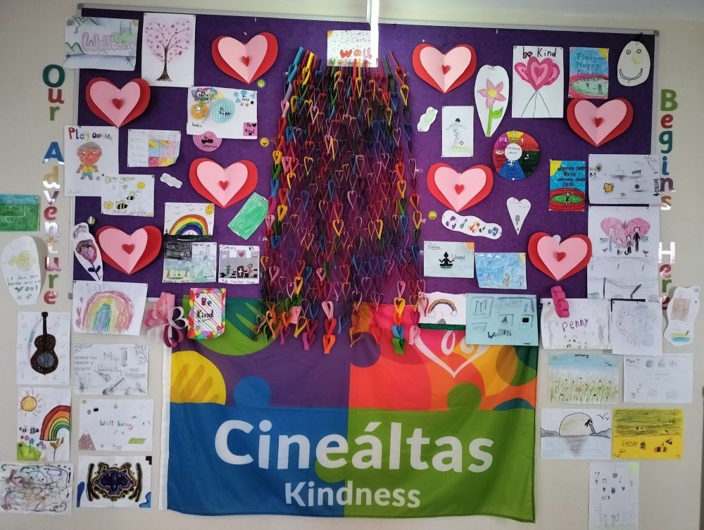 Our Wellbeing Wall